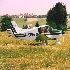 Wfg.Flugplatz.jpg